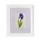 Stupell Industries Purple Stripe Iris Framed Print Under Glass, design by Lisa Wehmeyer